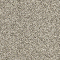 Ковровая плитка Interface Biosfera Boucle 7878 Amaretto фото 1 | FLOORDEALER